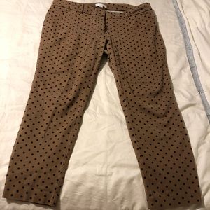 Brown polka dot pants
